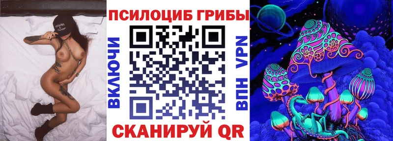 Купить закладки  Вязьма  Галлюциногенные грибы мицелий 